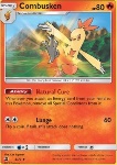 Combusken 
