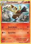 Combusken 