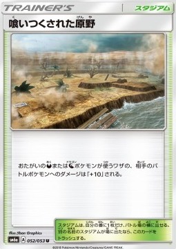 /products/pokemon/dev/devoured-field/dragon-storm-devoured-field-559371.jpg