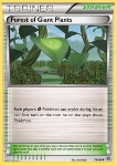Foresta delle Piante Giganti