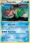 Gastrodon 