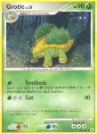 Grotle Lv.21