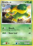 Grotle Lv.26