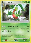 Grovyle Lv.24