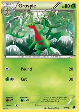 /products/pokemon/gro/grovyle/plasma-freeze-grovyle-280885.jpg