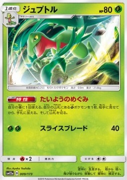 /products/pokemon/gro/grovyle/tag-team-gx-tag-all-stars-grovyle-543426.jpg