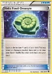 Helixfossile di Omanyte