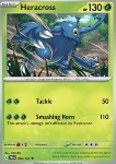 Heracross