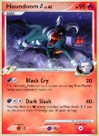 Houndoom [G] Lv.45