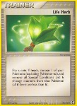 Erba Vita