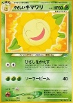 Light Sunflora
