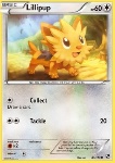 Lillipup 