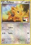 Lillipup 