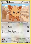 Lillipup 