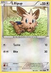Lillipup 