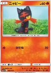 Litten 