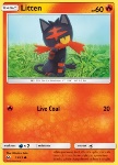 Litten 