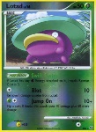 Lotad Lv.14
