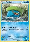 Lotad 