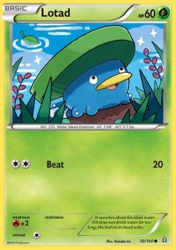 /products/pokemon/lotad/lotad/primal-clash--273541.jpg