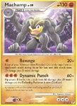 Machamp Lv.59
