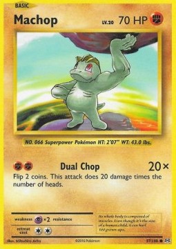 /products/pokemon/mac/machop/evolutions-machop-293411.jpg