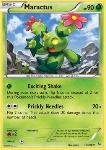 Maractus 