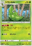 Metapod [Emerge | Bug Bite]