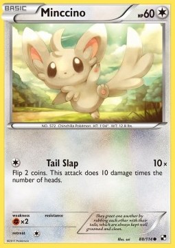 /products/pokemon/min/minccino/black-white-minccino-279826.jpg
