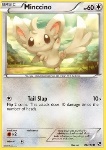 Minccino 