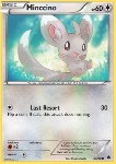 Minccino 