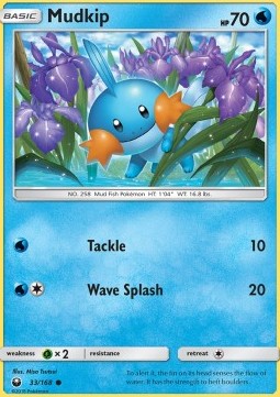 /products/pokemon/mud/mudkip/celestial-storm-mudkip-361280.jpg