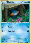 Mudkip 