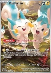 Pachirisu 