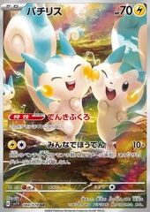 Pachirisu 