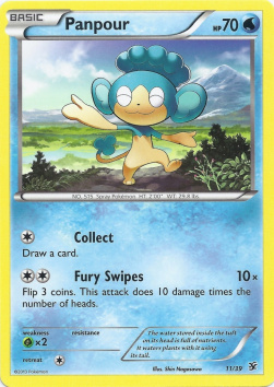 /products/pokemon/pan/panpour/xy-kalos-starter-set-panpour-281277.jpg