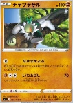 Passimian