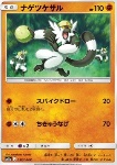 Passimian 