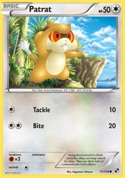 /products/pokemon/pat/patrat/black-white-patrat-279815.jpg