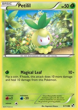 /products/pokemon/pet/petilil/black-white-petilil-279747.jpg