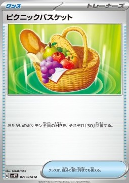 /products/pokemon/pic/picnic-basket/violet-ex-picnic-basket-693146.jpg