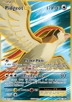 Pidgeot EX 
