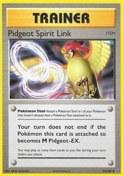 /products/pokemon/pid/pidgeot-spirit-link/evolutions-pidgeot-spirit-link-293443.jpg