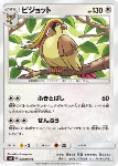 Pidgeot 