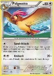 Pidgeotto 