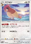 Pidgeotto 