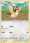 Pidgey 