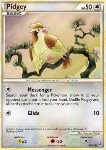 Pidgey 