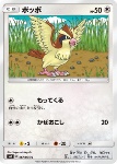 Pidgey 