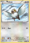 Pidove 